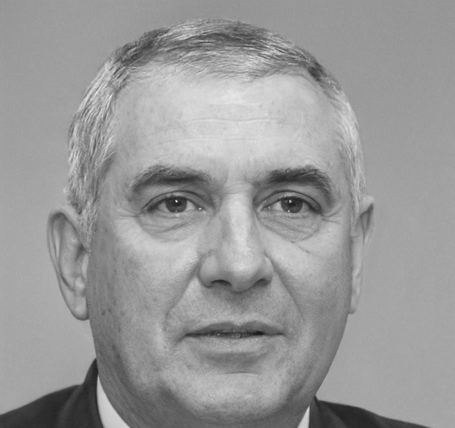 Especialista en análisis de fraude financiero